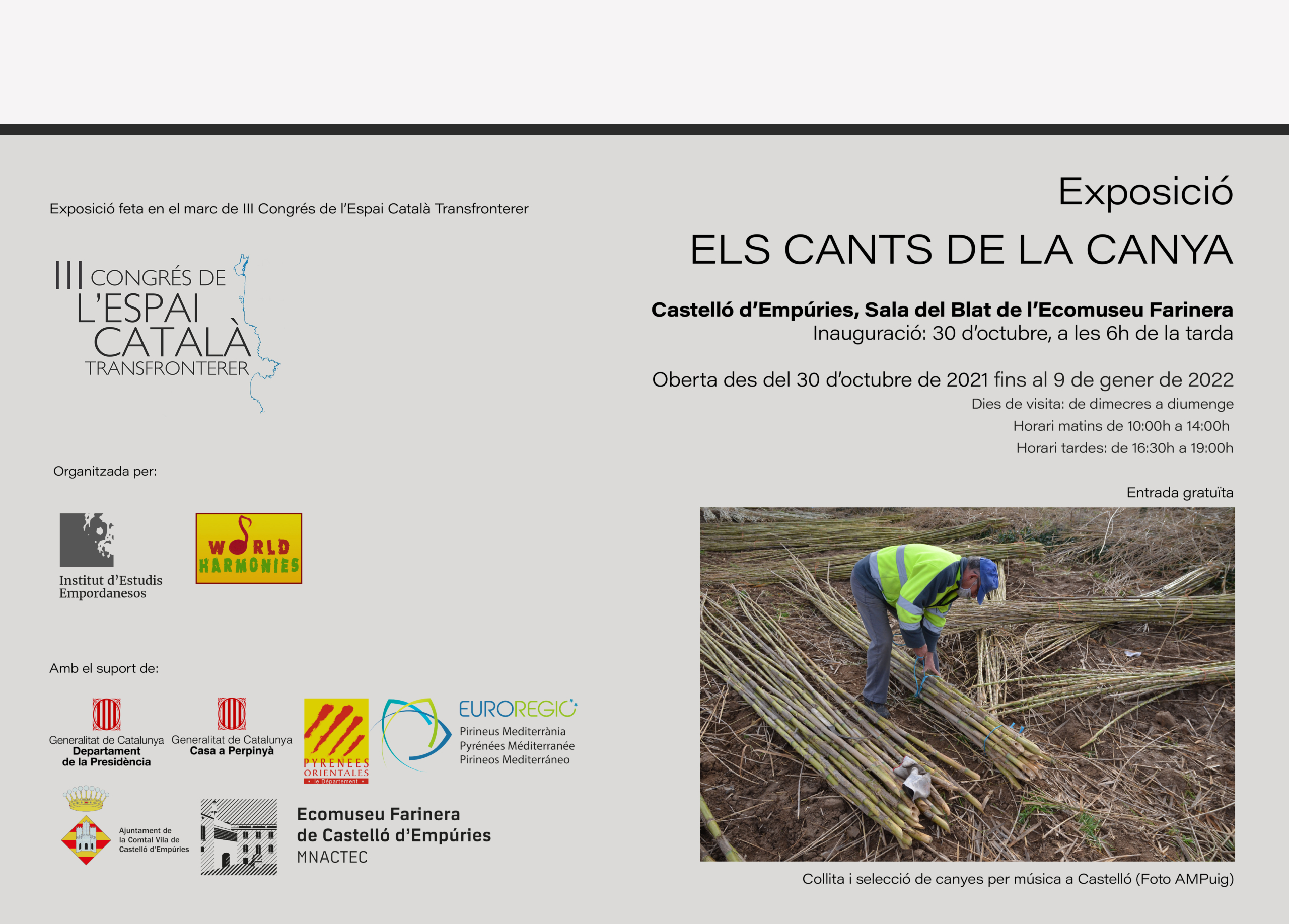 Exposició “Els Cants de la Canya” a Castelló